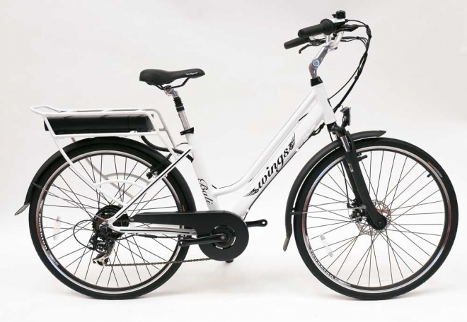 Bici elettrica Wings: Bali