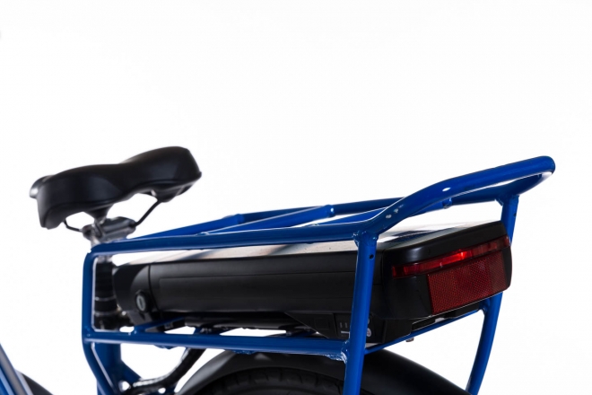 Bici elettrica Wings: Ponal