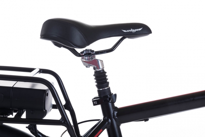 Bici elettrica Wings: Ponal