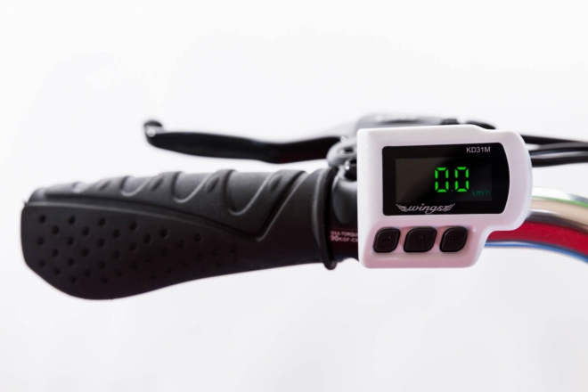 Bici elettrica Wings: Ponal